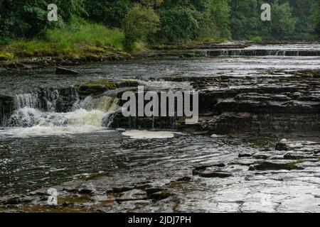 Le cascate di Aysgarth, circondate da boschi e terreni agricoli, sono una serie di tre cascate formate dal fiume Ure a Leyburn, North Yorkshire, Inghilterra, Regno Unito Foto Stock