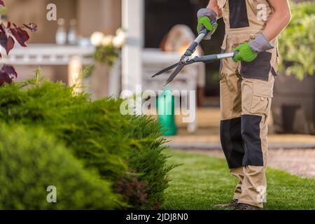 Giardiniere diretto verso piante verdi che tiene forbici da giardino nelle sue mani Pronto per iniziare il lavoro di Pruning. Servizi di manutenzione e cura del giardino. Foto Stock