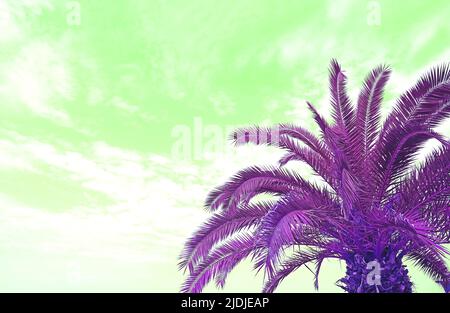 Surreal Pop Art Style Purple Palm Tree contro Lime Green Sky Foto Stock