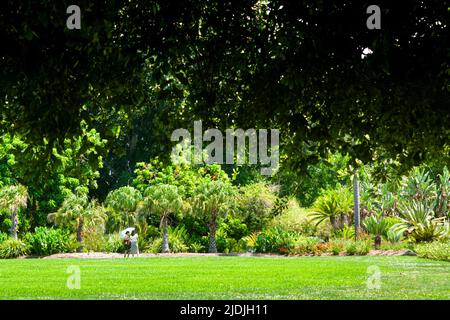 Due donne che camminano attraverso giardini verdi Foto Stock