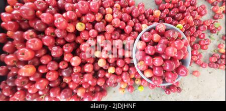 Fiera di mercato, 18 do Forte, Aracaju, Sergipe, Brasile Foto Stock