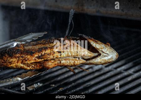 Processo di cottura alla griglia del pesce intero di orata di mare su una griglia del barbecue sopra carbone caldo. Dorado alla griglia Foto Stock