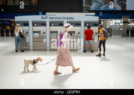 I passeggeri che sperano di fare un viaggio in treno utilizzano le biglietterie self-service nell'atrio principale della stazione di Waterloo il primo giorno dello sciopero ferroviario del Regno Unito, quando i lavoratori delle ferrovie e della metropolitana di Londra con il sindacato RMT hanno intrapreso un'azione industriale, il più dirompente sciopero ferroviario in tutta l'Inghilterra, Scozia e Galles per trent'anni, il 21st giugno 2022, a Londra, Inghilterra. Foto Stock