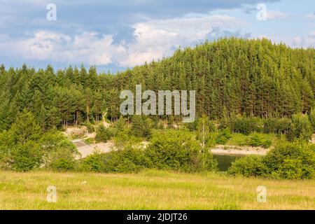 Krinets lago diga panorama estivo a Bansko, Bulgaria con pinete verde sullo sfondo Foto Stock