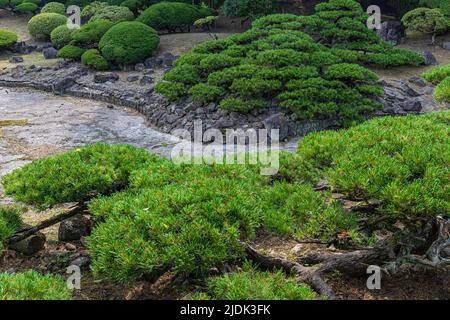 Hakurotei White Dew Garden è un giardino che può essere facilmente visitato in quanto ora serve come la parte anteriore del tribunale distrettuale di Fukushima, appena fuori Aizuwakamats Foto Stock