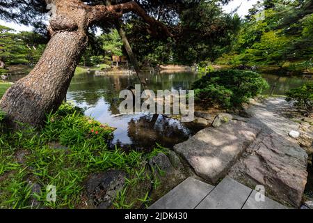 Il giardino di Oyakuen è stato costruito dai signori feudali di Aizu - questi erano giardini medicinali per dominio di Aizu. Il suo nome deriva dallo stile del circuito garde Foto Stock