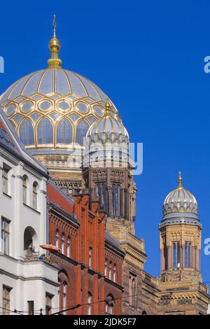 Germania, Berlino, Sinagoga Nuova, Sinagoga Neue, Foto Stock