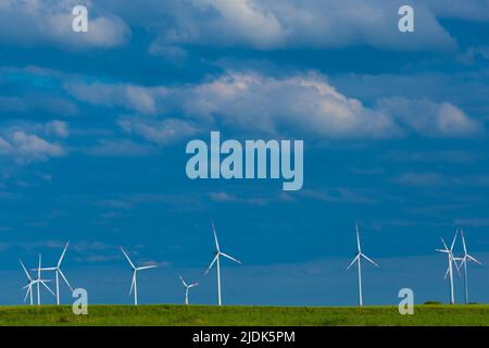 Mulini a vento in un campo verde contro un blu Sky.Wind generatore in verde grass.Renewable ENERGY.alternative ENERGY sources.Environmentally friendly Foto Stock