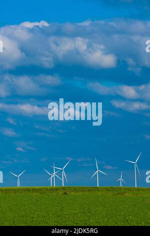 Green ENERGY.Windmills impostato in un campo verde contro un blu cielo.Wind generatore in verde grass.renewable energia. Foto Stock