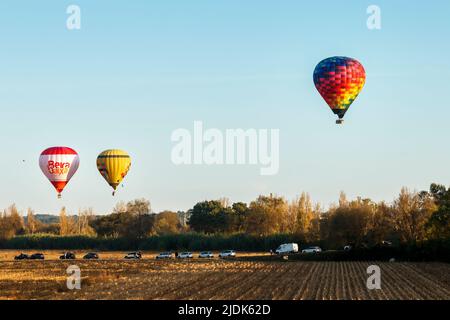 Coruche, Portogallo - 13 novembre 2021: Tre mongolfiere in volo nel tardo pomeriggio su campi agricoli e linea di alberi a Coruche, Portogallo Foto Stock