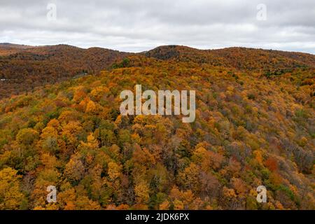 Vista aerea dall'alto verso il basso di alberi colorati in autunno nel Vermont. Foto Stock