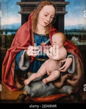 Joos Van Cleve: "La Vergine con il Bambino Cristo bevitore vino" (1520) Foto Stock