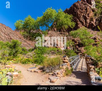 Ponte che attraversa Bright Angel Creek vicino al Phantom Ranch e conduce al South Kaibab Trail, al Grand Canyon National Park, Arizona, USA Foto Stock