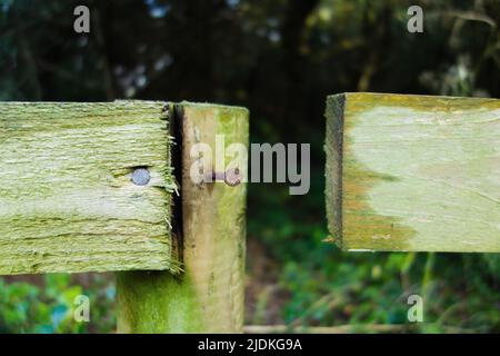 palo di recinzione in legno con chiodo arrugginito e gap nella rotaia Foto Stock