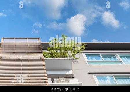 Piantando alberi sul balcone della città metro condominio appartamento. Foto Stock