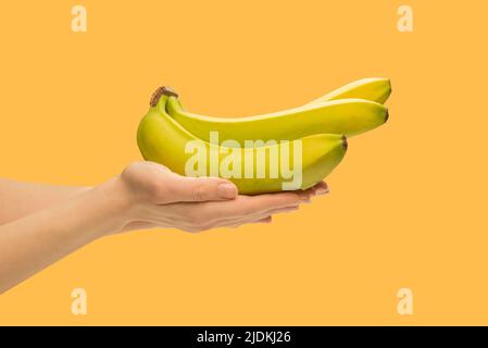 Un mazzo di banane in mano donna isolato su sfondo arancione. Foto Stock