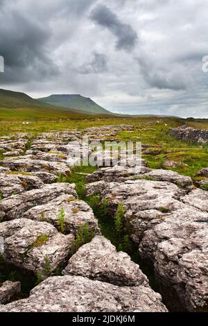 Nuvole scure su Ingleborough da Fell Close Rocks vicino a Ribblehead Yorkshire Dales Inghilterra Foto Stock