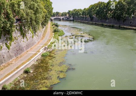 Roma, Italia. 21st giugno 2022. ** NESSUN WEB E GIORNALI SOLO PER L'ITALIA ** Roma, allarme di siccità: Il Ponte Neroniano risorge nel Tevere credito: Agenzia indipendente di Foto/Alamy Live News Foto Stock