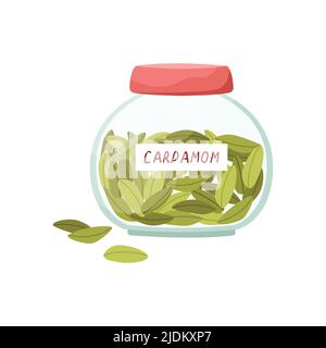 Illustrazione vettoriale di un vaso di vetro con cardamomo. Spezie. Illustrazione Vettoriale
