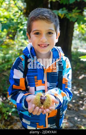 Piccolo capretto che raccoglie le castagne nella foresta in autunno Foto Stock