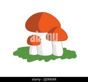Famiglia Boleto di funghi dibola. Funghi porcini o borovik. Illustrazione Vettoriale