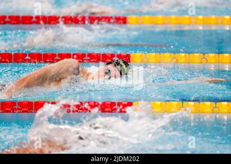 BUDAPEST, UNGHERIA - GIUGNO 21: Florian Wellbrock della Germania in competizione al Freestyle maschile del 800m durante i campionati mondiali di acquatica FINA alla Duna Arena il 21 Giugno 2022 a Budapest, Ungheria (Foto di Nikola Krstic/Orange Pictures) Foto Stock