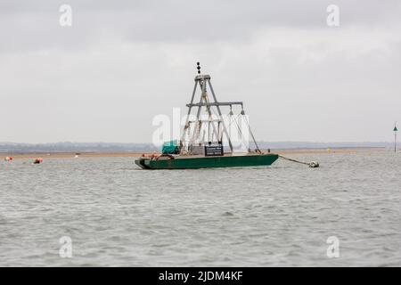 Blakeney Point, North Morfolk, Regno Unito Foto Stock