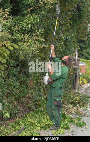 Il taglio di una siepe con un tagliasiepi motore. Foto Stock