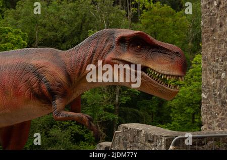 Modello Tyrannosaurus Rex a New Lanark come parte del percorso dinosaurico della famiglia 'Jurassic Lanark' per le vacanze scolastiche del 2022 Foto Stock