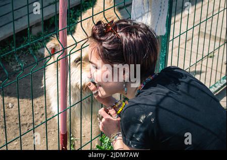 Cane al rifugio. Rifugio animale volontario che alimenta i cani. Cani solitari in gabbia con una donna allegra volontario Foto Stock