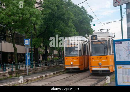 Il famoso tram della linea 2 che corre lungo il Danubio, Budapest Ungheria Foto Stock