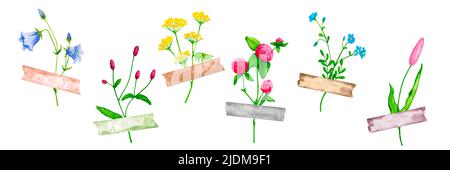 Acquerello fiori selvatici sotto una striscia decorativa nastro. Prato fiori set. Raccolta di elementi per la progettazione di carte, inviti, poster. Foto Stock