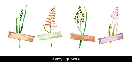 Set di erbe selvatiche acquerello sotto nastro decorativo. Collezione di elementi per la progettazione di carte, inviti, poster, stampe in tessuto. Foto Stock