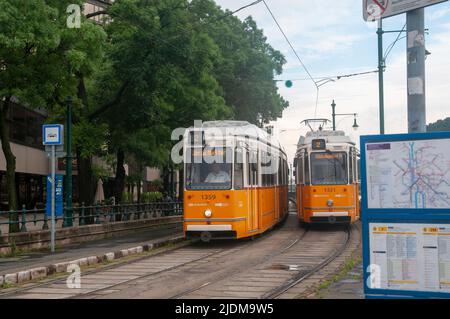 Il famoso tram della linea 2 che corre lungo il Danubio, Budapest Ungheria Foto Stock
