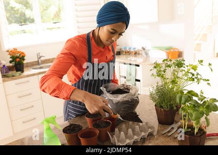 Giovane donna biraciale in hijab mettendo terreno in pentola sul tavolo a casa Foto Stock