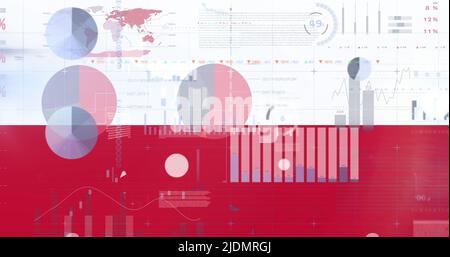 Immagine della bandiera della polonia in fase di elaborazione dei dati Foto Stock