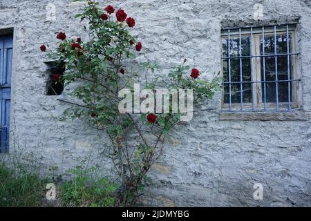 Vista su una casa sulla strada Regia, Lago di Como Careno Foto Stock