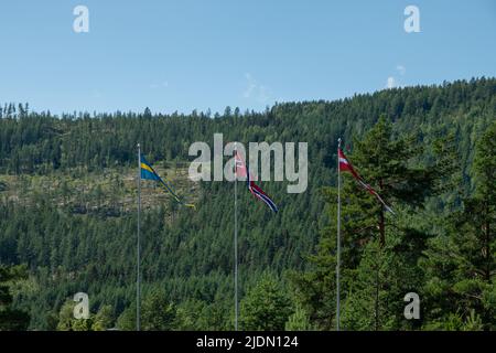 Le tre bandiere scandinave hissed sui pali davanti alla collina della foresta Foto Stock