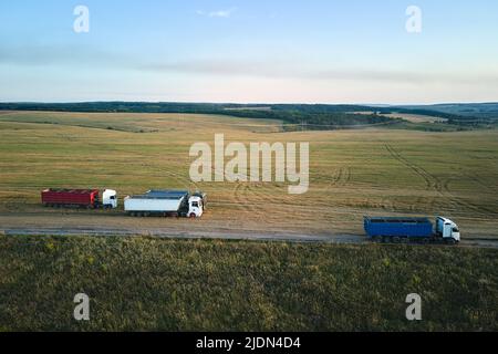 Vista aerea del cargo truck che guida su strada sterrata tra campi di grano agricolo facendo molta polvere. Trasporto di grano dopo essere stato raccolto da Foto Stock