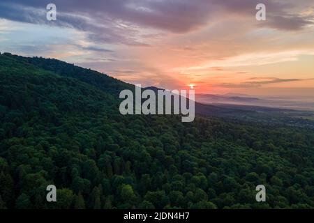 Vista aerea della pineta verde con abeti scuri che coprono le colline di montagna al tramonto. Paesaggio boschivo del nord dall'alto Foto Stock