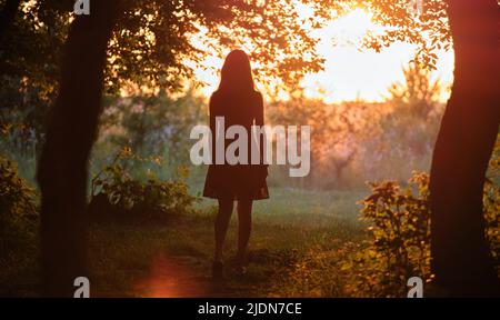 Vista posteriore della giovane donna a camminare da sola attraverso boschi scuri al tramonto luminoso. Concetto di esplorazione della natura Foto Stock