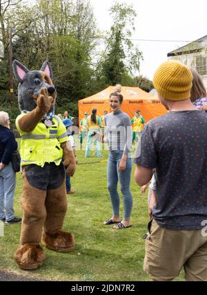 NORTHAM, DEVON, INGHILTERRA - APRILE 30 2022: Collegamento della comunità di polizia al villaggio festeggiamenti del giorno di maggio. Mascot Bravo il cane della polizia. Foto Stock