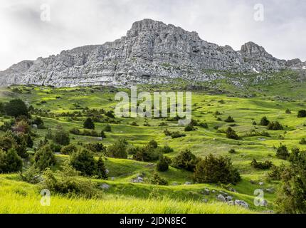 Pascoli alpini e alberi di ginepro sotto le scoscese scogliere del Monte Tymphi nella regione Zagori della Grecia settentrionale Foto Stock