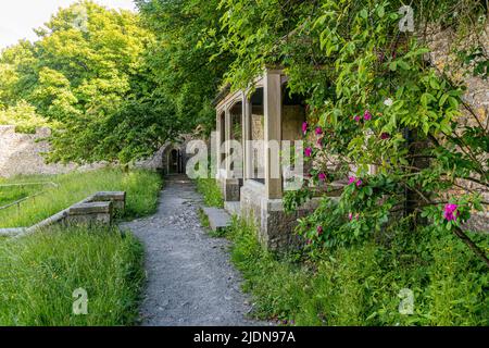 Il giardino murato a Dunraven Park, Southerndown. Si prega di credito: Phillip Roberts Foto Stock