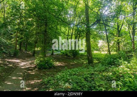 Il giardino murato a Dunraven Park, Southerndown. Si prega di credito: Phillip Roberts Foto Stock