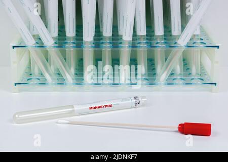Test PCR per screening in scimmipox. Tamponi. Foto Stock