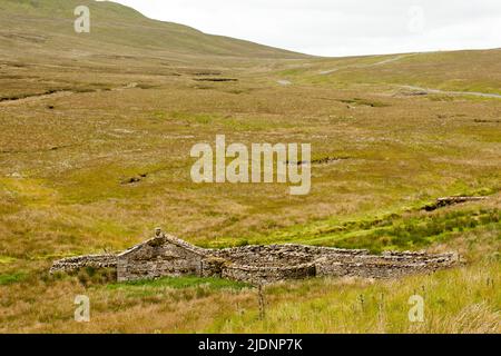 Birkdale Swaledale Yorkshire Dales Inghilterra Regno Unito Foto Stock