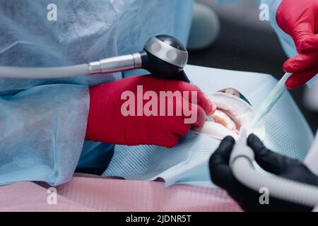 Primo piano delle mani dei dentisti nel processo di spazzolatura dei denti della paziente femminile. Foto di alta qualità Foto Stock