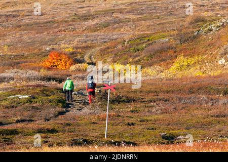 BJORKLIDEN, SVEZIA IL 21 SETTEMBRE 2016. Vista di un sentiero di montagna, pista. Una coppia non identificata è via in su. Uso editoriale. Foto Stock