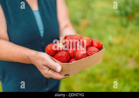 Coltivatori di fragole con raccolto. Donna contadina mani con fragole fresche in scatola di carta ecologica in giardino su un mercato agricolo in estate Foto Stock